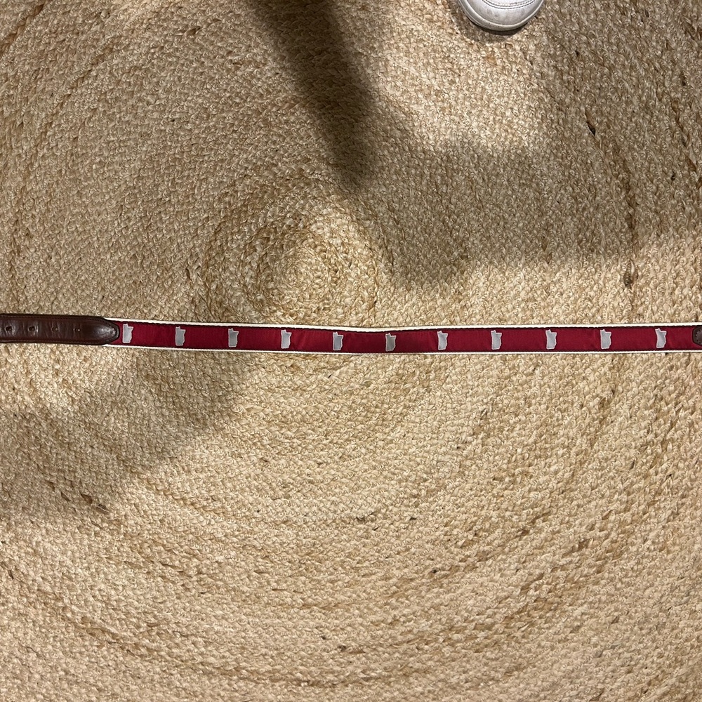 Mississippi State Belt